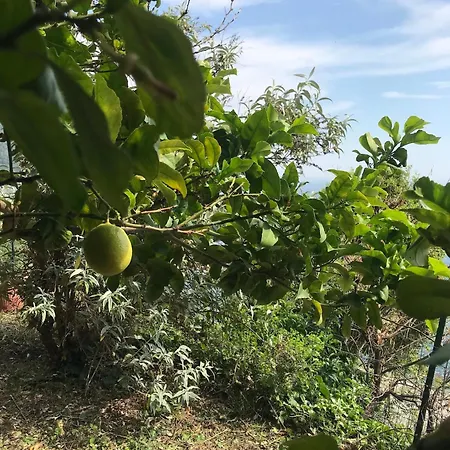 アパート La Scuna